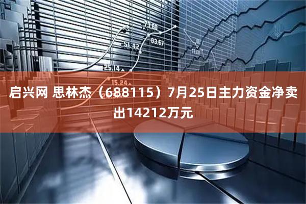 启兴网 思林杰（688115）7月25日主力资金净卖出14212万元