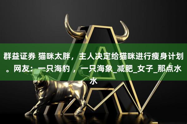 群益证券 猫咪太胖,主人决定给猫咪进行瘦身计划。网友:一只海豹 ,一只海象_减肥_女子_那点水