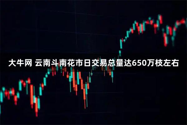 大牛网 云南斗南花市日交易总量达650万枝左右