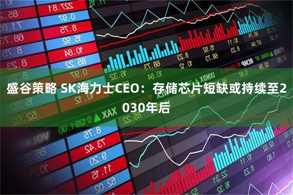 盛谷策略 SK海力士CEO：存储芯片短缺或持续至2030年后